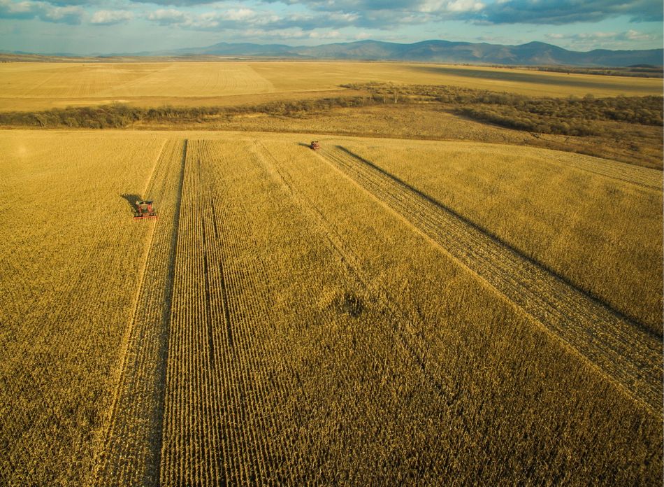 The foods that do the most damage to our climate