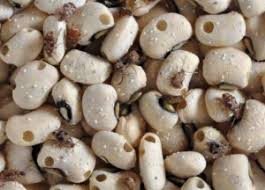 Reducing Post Harvest Losses (PHL) In Agricultural Produce