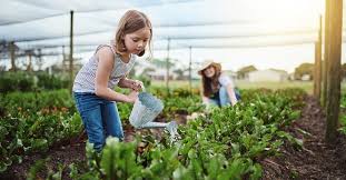 Children in Agriculture: the benefits