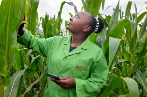 Choosing a Career in Agriculture: Benefits, Tips and Career Paths
