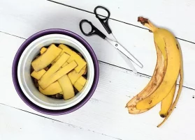 Banana Peel Fertilizer: Does it Really Work? Here’s What You Should Know
