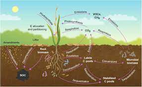 Carbon Farming