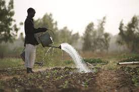 Agricultural Water Management 1