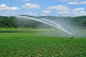 Agricultural Water Management 2 – Irrigation Water Management (IWM)