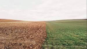 Heat stress to threaten over 70% of global agriculture by 2045