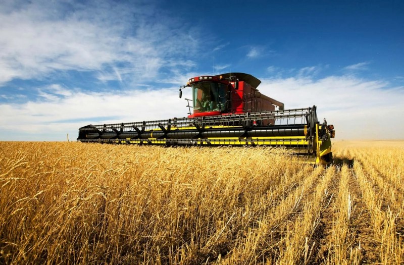 World Bank: Agriculture, Cereal Export Prices Are Stabilizing